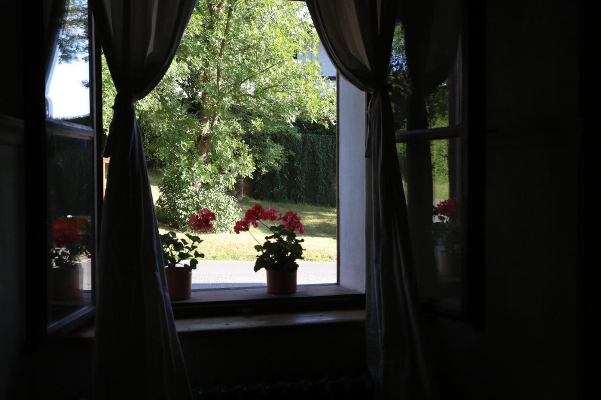 Historicke Apartmany Zelenohorska Posta Nepomuk Екстер'єр фото
